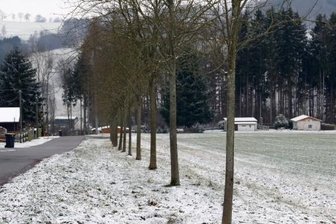 Gemeinde Großolbersdorf plant Wohngebiet - Auf dieser Fläche am Siedlerweg in Hopfgarten sollen perspektivisch neue Eigenheime entstehen.