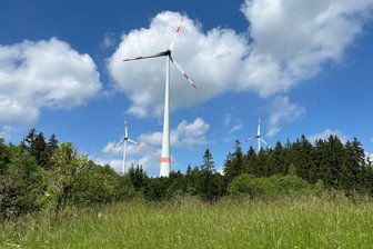 Gemeinde Triebel sammelt Unterschriften gegen Windkraft-Pläne - Windräder über Wald gibt es in der Region unter anderem zwischen Gattendorf und Trogenau.