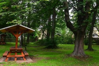 Gemeindepark Grünlichtenberg wird umgestaltet - In dem Areal fand vor Corona alljährlich das traditionelle Parkfest statt.