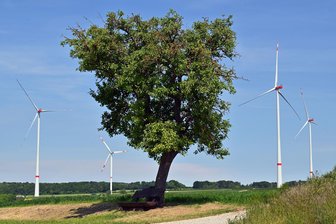 Gemeinderat Breitenbrunn erteilt der Nutzung von Windkraft im Erzgebirge klare Absage - Solche Windräder würden nach Ansicht der Gemeinderäte in Breitenbrunn das Landschaftsbild im Erzgebirge zerstören.