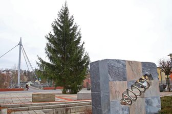 Gemeinsames Weihnachtssingen in Wilkau-Haßlau: Ein Fest für Groß und Klein - Rund um den Weihnachtsbaum in Wilkau-Haßlau werden Weihnachtslieder gesungen.
