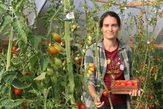 Gemüse im Abonnement: Wie eine Marktgärtnerei im Erzgebirge funktioniert - Anna Vorsatz baut eine große Auswahl an unbehandelten Tomaten in Augustusburg an.