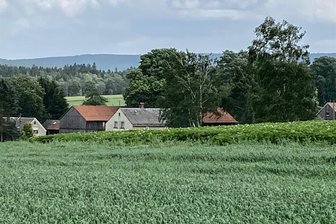 Genehmigt: Telefonicá baut neuen Mobilfunk-Sendemast in Mühlental - Blick auf Willitzgrün: Telefonicá hat sich mit seinem Wunsch-Standort für einen neuen Sendemast durchgesetzt.