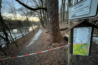 Genehmigungschaos in Lichtenwalde: Landesdirektion schaut Waldbesitzer und Landkreis nun auf die Finger - „Begehen auf eigene Gefahr“: Der Weg am Zschopauufer unterhalb von Schloss Lichtenwalde ist schon länger gesperrt.