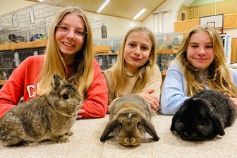 Generalprobe für die weltgrößte Kaninchenschau in Leipzig: Nachwuchs aus dem Erzgebirge probt in Zschorlau für die Kür - Lena Herrmann, Linnéa Dworatzek und Anna Herrmann (v. l.) gehören zu den erfolgreichen Nachwuchszüchtern des RKZV S 558 Zschorlau. Ihre Kaninchen sollen auch bei der Bundesschau in Leipzig überzeugen.