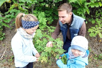 Generationsaufgabe Waldumbau: Wie der Zellwald dank Eiche, Erle oder Birke seit Jahren ein neues Gesicht bekommt - Markus Bleiber nutzte die Gelegenheit, seinen Kindern Hanna und Jakob etwas über die Bäume im Wald zu erzählen.