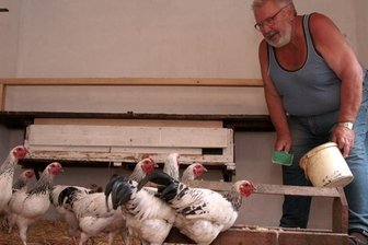 Genossenschaft will nach Bränden in neuen Kälberstall investieren - Dietmar Estel geht wieder gern in seinen Garten. Die Zucht will er noch lange nicht aufgeben.