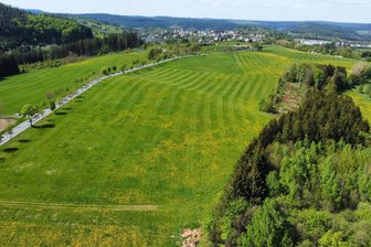 Geplanter Solarpark im Erzgebirge: Projektentwickler will Eibenstocker am Dienstag informieren - Auf dieser Fläche bei Eibenstock soll ein Solarpark entstehen.