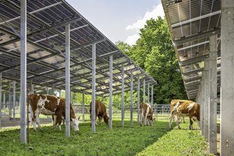 Geplanter Solarpark nahe Plauen: Stadträte sprechen von Vertrauensbruch - Derartige Solarpanels auf landwirtschaftlich genutzten Flächen will ein Investor im Plauener Ortsteil Unterlosa. Ob das Projekt noch umgesetzt wird, ist allerdings fraglich.