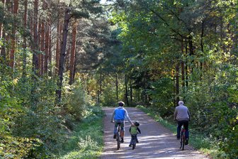 Geplantes Landschaftsschutzgebiet Rümpfwald: St. Egidien hat Fragen - Der Rümpfwald soll geschützt werden – doch in St. Egidien zeigt man sich skeptisch, ob dafür ein Landschaftsschutzgebiet notwendig ist.