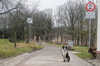 Gericht entscheidet: Waldweg in Silberstraße ist ein Wanderweg - Der Waldweg im Wilkau-Haßlauer Ortsteil Silberstraße war Gegenstand eines Rechtsstreites. Jetzt ist die Entscheidung zugunsten der Kläger gefallen. Foto:Mario Dudacy/Archiv