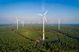 Geringere Stromkosten, jährliche Zahlungen, Anteile: So sollen die Olbernhauer von den riesigen Windkraftanlagen im Wald profitieren - Andernorts gibt es sie bereits: Windräder im Wald. Der Freistaat Sachsen ermöglicht den Bau nun ebenfalls. Olbernhau will eine Vorreiterrolle einnehmen.
