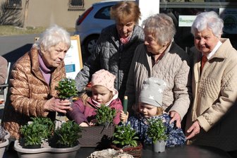 Geringswalde: Wie Kinder den Senioren-Alltag bereichern - Maja (l.) und Luisa lassen sich von den Seniorinnen zeigen, wie richtig gepflanzt wird.