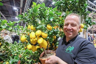 Geringswalder Gärtner bietet sizilianisches Flair - Auf zunehmende Hitze und Trockenheit reagiert Gärtner Falk Horn etwa mit mehr südeuropäischen Pflanzen.