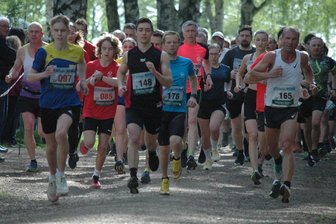 Geringswalder Schlossberglauf: Sportlicher Vormittag am Stadtrand - 195 Teilnehmer waren im vorigen Jahr beim 20. Geringswalder Schlossberglauf dabei.
