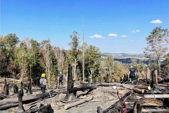 Geringswalder Wehr gerät bei Waldbränden an Grenzen - Bei Einsätzen wie hier in der Sächsischen Schweiz waren die Einsatzkräfte angesichts der Schäden auch mental gefordert. 
