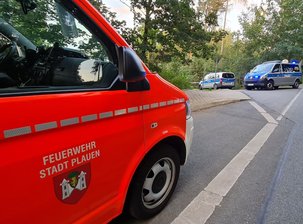 Getötete Frau in Plauen: Ehemann in Psychiatrie eingewiesen -