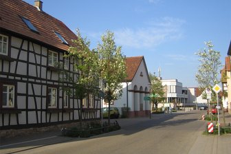 Getöteter Chemnitzer Arzt: Eine Spur führt in einen kleinen Ort in der Nähe von Karlsruhe - Im beschaulichen Rülzheim in der Nähe von Karlsruhe wurde ein 62-Jähriger festgenommen, der als Tatverdächtiger im Kleinertz-Mordfall gilt.