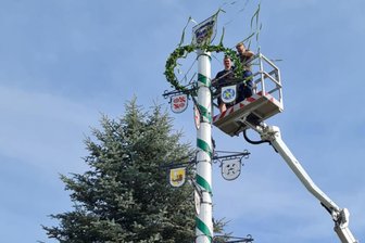 Gewerbebaum Wilkau-Haßlau: Stadtwappen kehrt an die Spitze zurück - Der Gewerbebaum hat sein Stadtwappen zurückbekommen.