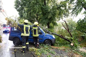 Gewittersturm fegt übers Vogtland hinweg: Region kommt mit einem blauen Auge davon - Plauen, Weststraße: Äste stürzten auf einen Pkw. Neundorfer Feuerwehrleute waren dort im Einsatz.