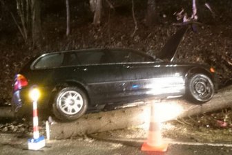 Geyer: Orkanböen fällen Baum und verursachen Autounfall - 