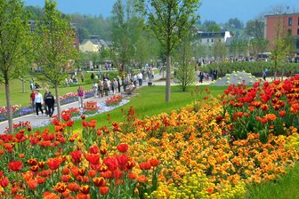 Gibt‘s zur großen Landesgartenschau in Auerbach und Rodewisch einen kleinen Ableger in Reichenbach? - Zur Eröffnung der 5. Sächsischen Landesgartenschau am 1. Mai 2009 in Reichenbach erfreuten sich die Besucher an der Blumenpracht auf dem 14 Hektar großen Gelände im Raumbachtal in unmittelbarer Nähe der Altstadt.