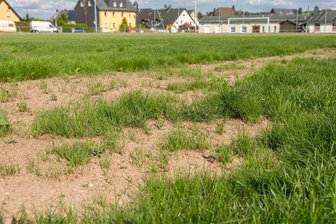 Giftanschlag verhagelt Stimmung vor der Party - Ihre Heimspiele wollten die Neuwürschnitzer in dieser Saison eigentlich allesamt auf ihrem neuen Rasenplatz austragen. Daraus wird vorläufig nichts.