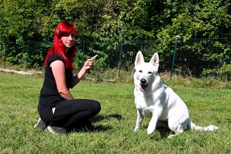 Giftköder in Frankenberg: Hundebesitzerin findet mit Tabletten gefüllte Wurst - Hundetrainerin Mandy Fricke aus Hainichen, hier mit ihrer weißen Schweizer Schäferhündin Lumi, hat den Fund eines Giftköders in Frankenberg öffentlich gemacht.