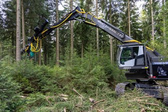 Gigant im Erzgebirge: Neue Maschine pflückt Bäume präzise aus dem Wald - Über die jungen Bäumen hinweg hebt der Harvester den alten Baum aus dem Wald. Durch die große Reichweite wird zudem der Waldboden geschont.