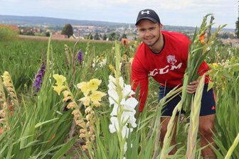Gladiolen und Sonnenblumen für ehrliche Pflücker - 