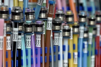 Glasfaser in Glauchau: Gewerbegebiet versorgt, Stadtgebiet muss noch warten - Der erste Teil des Breitbandausbaus in Glauchau ist abgeschlossen. Die Versorgung der Anlieger in den Gewerbegebieten mit Glasfaserinfrastruktur läuft.