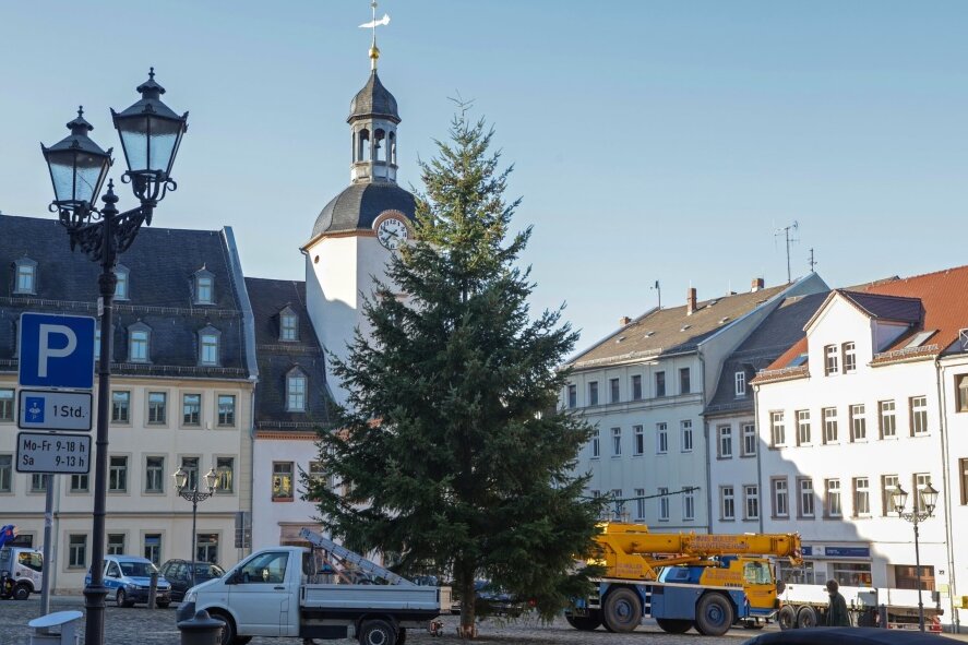 Glauchau: Der Weihnachtsbaum ist da - Am Dienstagvormittag wurde der Baum auf dem Glauchauer Marktplatz mit Hilfe eines Krans aufgestellt.