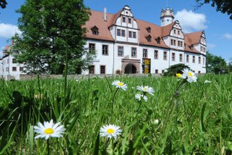 Glauchau: „Wilder Nachmittag mit Brennnesseln“ und ein weiteres Ferienangebot für Familien - Am Schloss Forderglauchau geht es auf Kräuterwanderung.