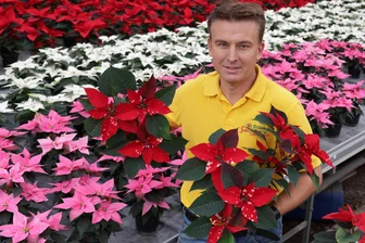 Glauchauer Gärtnerei bereitet Adventschau vor - Torsten Neubert mit dem Stern „Fantasy Star", ein roter Stern mit vielen kleinen Sternen auf dem Blättern.