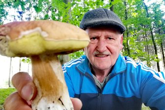 Glauchauer Pilzsammler: Der erste Schwung ist vorbei - Andreas Schneider brauchte nicht lange suchen, um fündig zu werden.