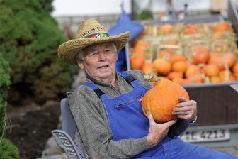 Glauchaus „Kürbis-Egon“ denkt ans Aufhören - Egon Kunze baut seit vielen Jahren jede Menge Kürbis auf seinem Grundstück in Glauchau Reinholdshain an.