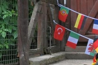 Glücksschwein Rudi sieht deutsche Elf als Sieger - Schnurstracks ging Glücksschwein Rudi zum Napf mit der deutschen Nationalflagge. Ein gutes Omen? 