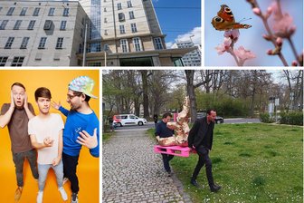 Goldene Hasen, flatternde Schmetterlinge und Mucke für Kids mit Orchester: Tipps fürs Wochenende in Chemnitz - Was am Wochenende in Chemnitz so los ist.
