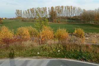 Goldene Höhe Treuen: Streit um Grundstück beigelegt - Auf der freien Fläche vor dem links im Hintergrund befindlichen Kreisverkehr wollte die Firma bauen. Der Flächenkauf wurde jetzt rückabgewickelt. 
