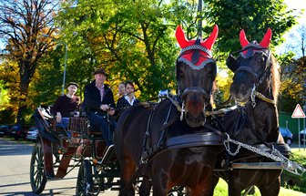 Goldener Herbst: "Freie Presse" sucht die schönsten Motive -
