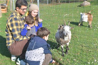Goldener Herbst im Raum Freiberg-Oederan: So schön ist der November-Anfang - Beliebtes Ausflugsziel sind die Tiergehege am „Memmendorfer Stern“. Es gibt unter anderem ein Tiergehege mit Ziegen, Kinderspielplatz und ein Alpakagehege.