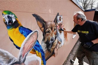 Graffiti zieren jetzt Fassade vom Tierheim Langenberg - Der Meeraner Graffiti-Künstler Tasso bei der Arbeit am Tierheim Langenberg. 