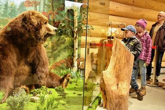 Grizzly Ulla begrüßt wieder die Gäste im Klingenthaler Tierpark - Das Herbstfest lockte am Samstag über 500 Besucher in den Tierpark Klingenthal. Offiziell eröffnet wurde dabei das Info-Haus als neue Attraktion. Ein Blickfang darin ist das Präparat von Ulla, die als letzte im Tierpark lebendeGrizzly-Bärin 2019 starb und jetzt nach Klingenthal zurückgekehrt ist.
