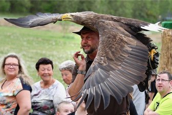 Größte Falknerei Ostdeutschlands will nochmals kräftig in Plauen investieren - Künftig soll es zur vielfältigen Präsentation von Hans-Peter Herrmanns gefiederter Tierwelt in der Plauener Falknerei noch weitere Standbeine geben. Dafür soll nochmals kräftig investiert werden.
