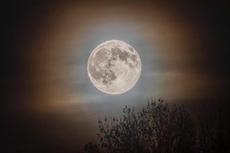 Größter Vollmond des Jahres leuchtet über Schwarzenberg - Über dem Schlosswald von Schwarzenberg leuchtet der besonders große und helle Supermond, den Olaf Wolfram am Mittwochabend eindrucksvoll fotografierte.