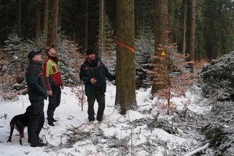 Große Fichten fallen im Vogtland: Waldumbau von anonymem Protest begleitet - Udo Lüttschwager, Jannek Wessels und Revierförster Stefan Voigt (von links) am Ortsrand von Friedrichsgrün, wo nach dem Fällen der hohen Fichten im Frühjahr eine Hecke angepflanzt wird.