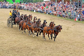 Große Pferdeshow am Sonntag in Wenigenauma mit vielen Vogtländern am Start - Martin Ritter aus Linda bei Pausa hier mit seinem Zehnspänner Deutsche Reitponys zur 41. Wenigenaumaer Ponyshow 2022.