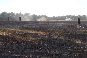 Großeinsatz bei Feldbrand - Die Striegistaler Feuerwehr konnte mit Unterstützung benachbarter Wehren aus Roßwein und Hainichen den Feldbrand bis 17 Uhr löschen.