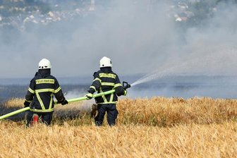 Großeinsatz wegen Feldbrand bei Geringswalde - 