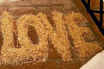 Großer Aufreger: Ein Sack Sägespäne - Umstritten: Das vergängliche Sägespan-Kunstwerk von Jan Thomas aus Halle "Real Love" wurde von den Juroren auf den 2. Platz gelobt.